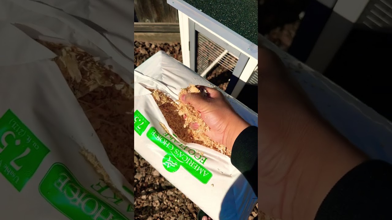 Chicken bedding made of Pine shavings. Smells AMAZING! Grabbed it from my local pet discount store!