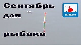 Рыбалка на удочку в конце сентября