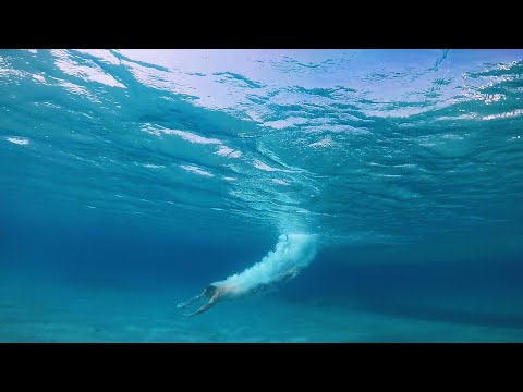 The best RIB cruises around Paros & Mykonos | Don Blue Yachting | Mykonos - Paros - Athens