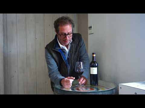 Antidoto La Hormiga 2020 Ribera de Duero DO video