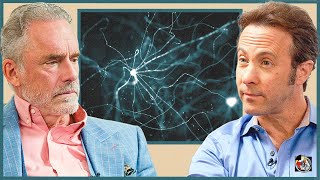 How Your Brain Decides Between Conflicting Actions | Dr. David Eagleman