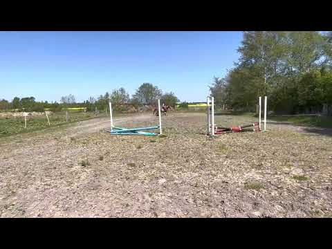 Online stævne. Bane 1. svh 1 (30cm)