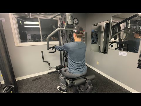 Fall Cut Day 28- Back