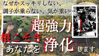 【数分でも超強力注意⚠ 邪気払い 浄化】見るだけであなたの人生は激変する。心・身体・空間を浄化し、なぜか"良いこと"が起きる動画。2022年全てがうまくいくので見ておいてください。おまけの動画アリ！