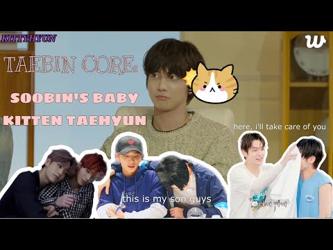 TAEBIN CORE: Soobin's baby kitten Taehyun
