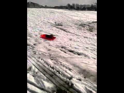 Sausage dog on sledge