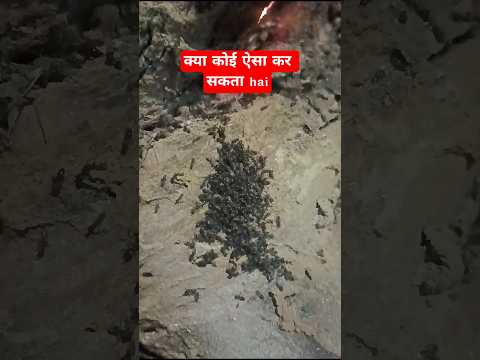 क्या कोई ऐसा कर सकता है #shorts #motivation #life #viral #trending