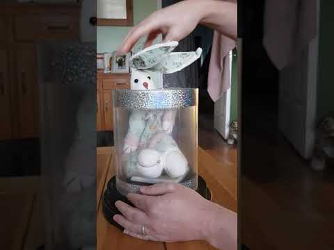 Dove to rabbit magic trick