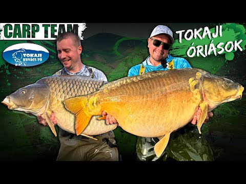 Péter Rokolya - GIANTS of Tokaj