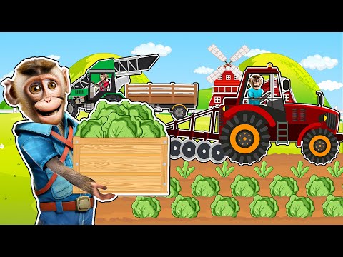 Awesome Giant Cabbages Farming Agriculture Technology - Harvest Cabbages | Tractor, Vehicles farm
