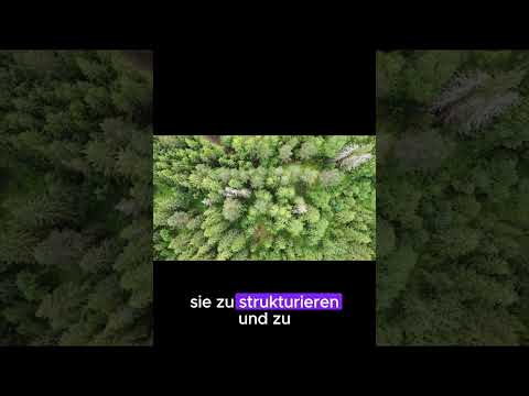 Schrittweise Aufstehen und Aufblühen mit KI!