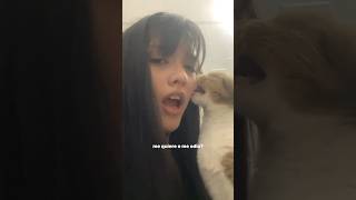#cat #cute #catvideo #cutecat #funnyvideo #funny #pets