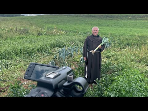 Zlatni savjeti - Poriluk