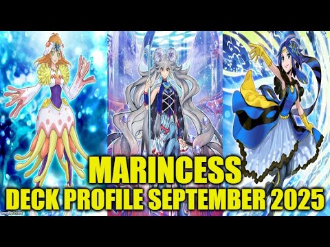 MARINCESS DECK PROFILE (SEPTEMBER 2025) YU-GI-OH!