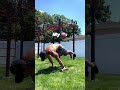 Can T Stop Won T Stop Shorts Workoutmotivation Motivation