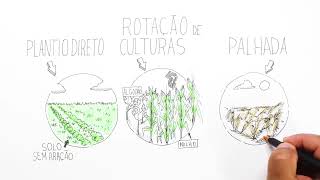 Manejo e conservação do solo no Cerrado