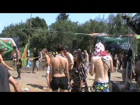Psycrowdelica 2010
