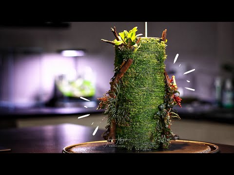 DOOA Terra Base - Step by Step Tutorial