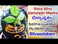Shiva Bilva Samarpan Mantra Bilvaastakam In Kannada Shivamantra Bilvastakam Shiva Shiv Mantra