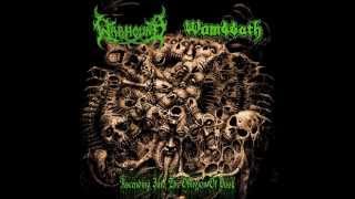 Wombbath  - Decomposed Sanity.   Track teaser from the coming split 7"