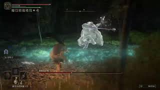 [ ELDEN RING ］禁域を探索　＊強くなりすぎました。