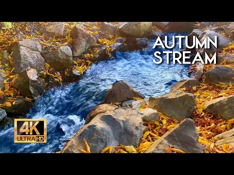 4K HDR Autumn stream. Water sounds - babbling brook, White noise for Sleep/Relax