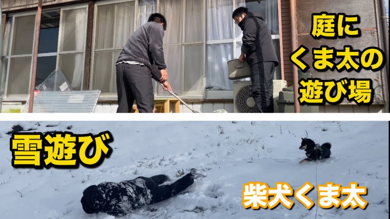 柴犬くま太　雪が降って喜ぶ柴犬の様子と庭にプチドッグランを作りました。