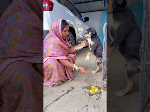 Wait for end 🥲#shorts