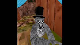 me and my coson was playin gorilla tag today