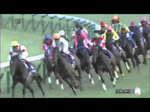 スプリンターズステークス2015