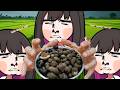 【 HANDCAM CHALLENGE 】MAKAN GARRY SI SIPUT SAWAH???!!! Jujur takut🫣