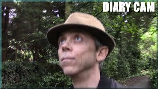 Diary Cam - What no ROMS? - Nintendo