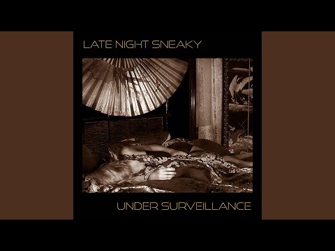 Dropper-Late Night Sneaky Remix