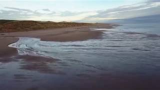 Fiona Apple - Love Ridden (Blackdog Beach) with Lyrics (CC)