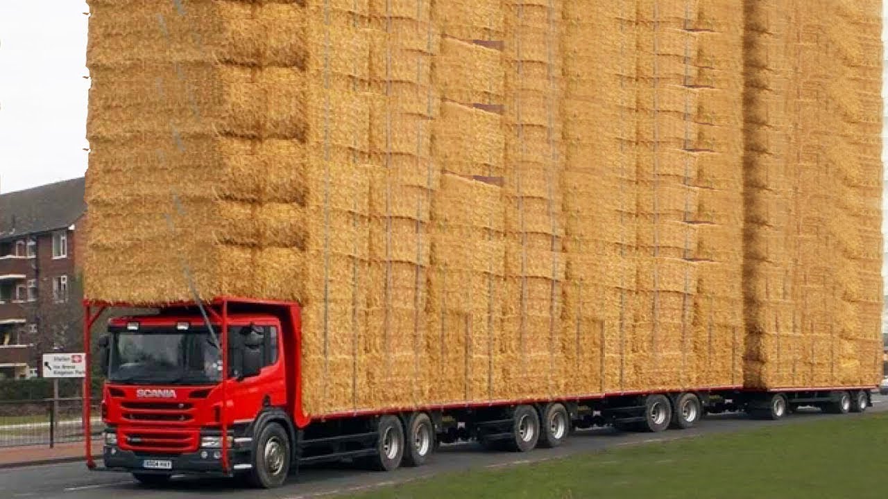 World Amazing Hay Bale Handling Modern Agriculture Equipment Mega Machines Tractor, Harvester, Truck
