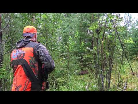 Bear hunting with team karhukopla part 4 full video.