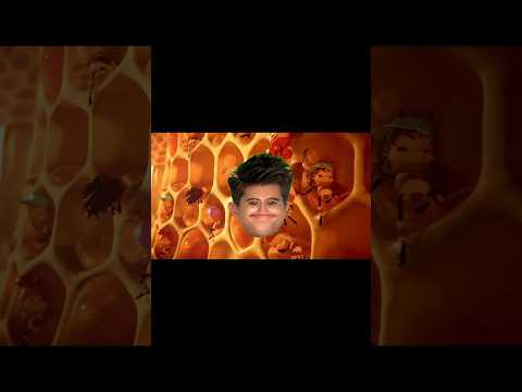 This guy who gets up at 7am on vacation 🤣