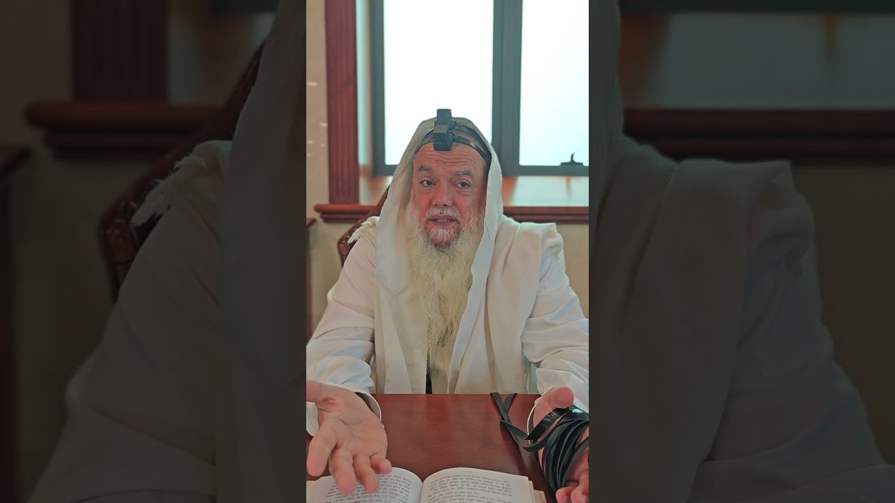 שער הביטחון | סבב שני - פרק 194