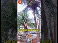 Video Lucu Hiburan Warga 62 Video Lucu Banget Bikin Ngakak Sakit Perut Shorts