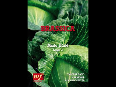BRASSICA - Mario Bürki