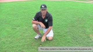 Quick coupling valves