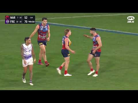 Four'N Twenty Mark of the Year | round eleven winner | 2022 | AFL