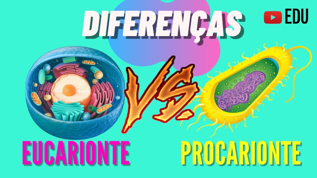 CÉLULAS EUCARIONTES E PROCARIONTES - DIFERENÇAS | ANIMAÇÃO