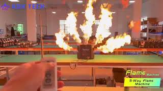 Flame Machine DMX Stage Fire Machine 5-head flame Machine 5-way flame machine 5-FINGER FLAMES #flame