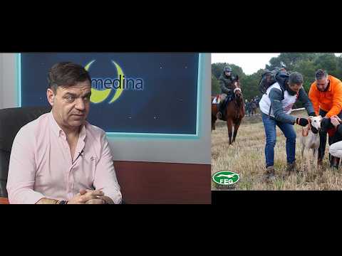 Greyhounds - Latest news from the Spanish Championship - Interview with the President of the Span...