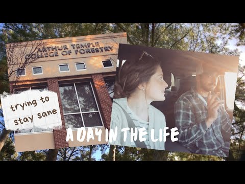 this has been the weirdest semester | studying at sfa's college of forestry | #vlog