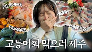 친구들이랑 고등어회 먹으러 제주도 간 브이로그 🐟  먹고 마시고 놀고 풋살하고 수영하고