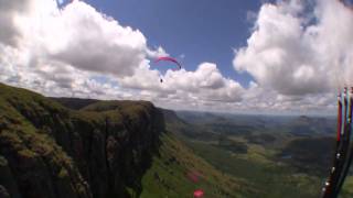 Where are the Vultures?