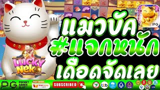 เว็บตรง เว็บตรงไม่ผ่านเอเย่นต์ เว็บตรงสล็อต เว็บตรงแตกง่าย