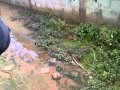 Anambra Floods 2